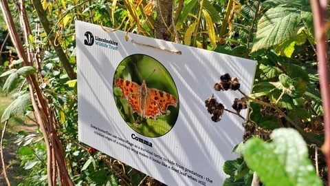 Butterfly trail board at Far Ings