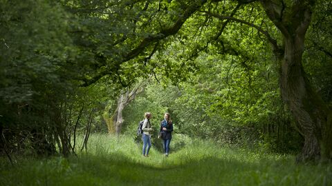 people in wood wildlife trust