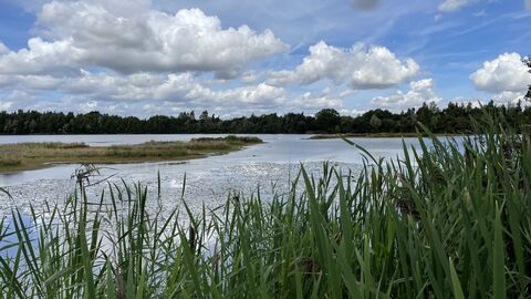 Whisby Nature park