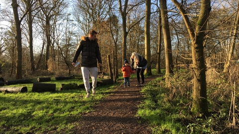 Walk through the woods at Gibraltar Point Plantation