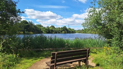 Bench with lake view at Whisby