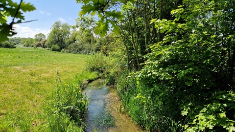 chalk stream
