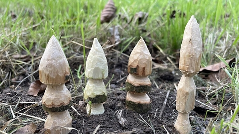 christmas trees whittling