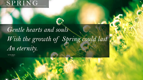 Spring poetry workshop