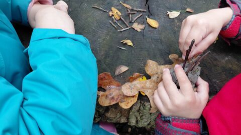 winter crafts hands making hedgehogs
