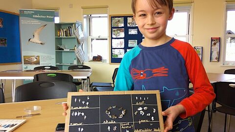 child with owl pellet board