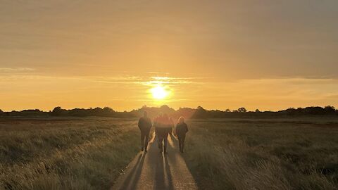 Gibraltar Point sunset walk through south marsh road