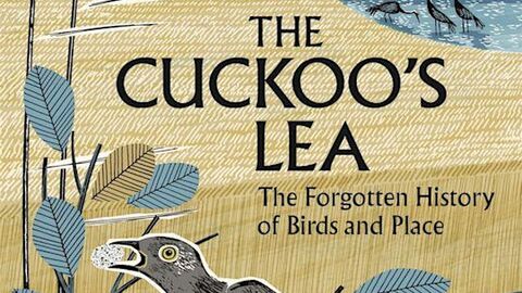 the cuckoo's lea book cover