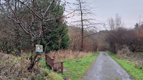 Second board on Eye Spy trail at Snipe Dales 