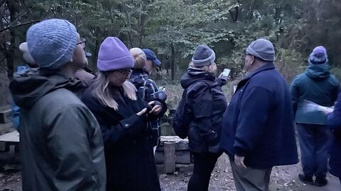 group of people looking for bats at twilight event