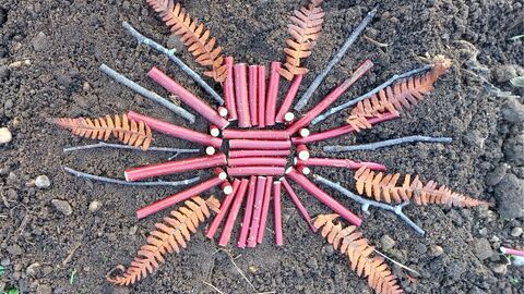 wild art made from sticks