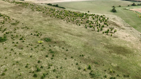 Drone view of Hawthorpe scrub short grassland