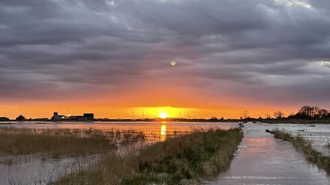 high tide sunrise at Gibraltar Point