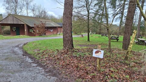Snipe Dales hedgehog trail