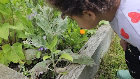 child looking at plants