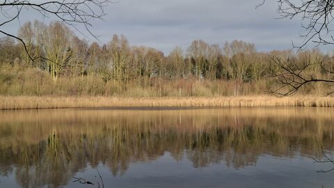 Messingham Sand Quarry