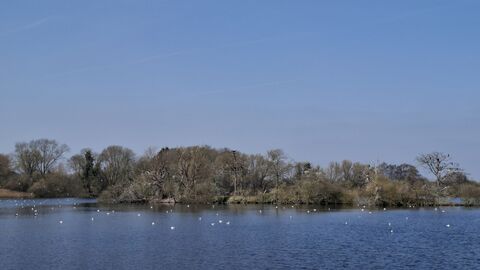 Deeping Lakes