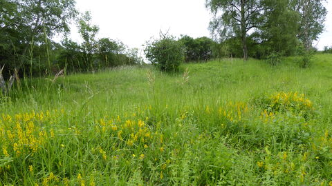 Clapgate Pits