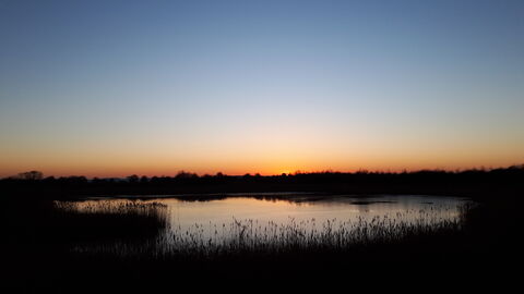 The sun setting at Fiskerton Fen