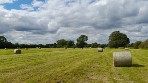 Kingerby Beck Meadows after the hay cut