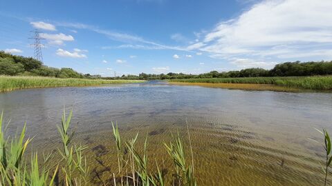 Messingham Sand Quarry