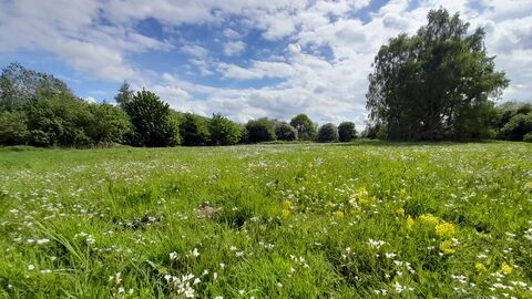 Messingham Sand Quarry