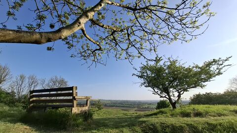 Bench with a view at Red Hill