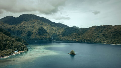 New Guinea