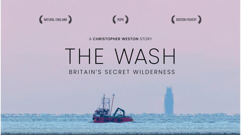 The Wash film graphic