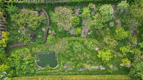 Aerial view of the Woodland Orchard in North Lincolnshire