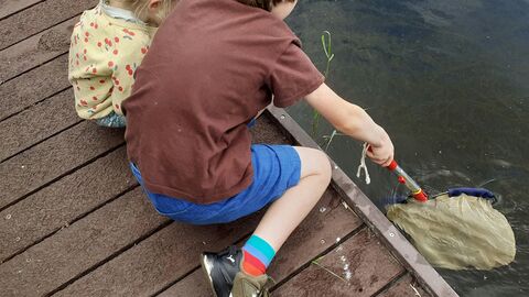 children pond dipping at Whisby
