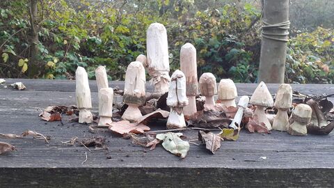 whittled mushrooms from whittling workshop