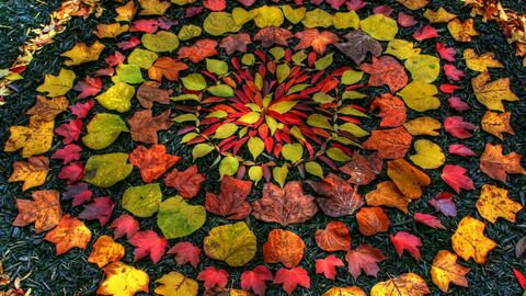 autumn leaves mandala
