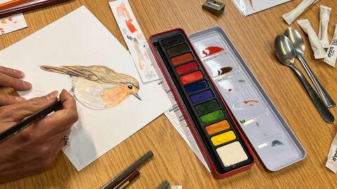 robin drawing workshop