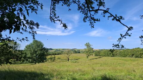 Silverines Meadow from the gate on Ranyard Lane
