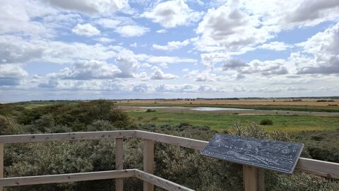 The view across Anderby Marsh from the viewing platform