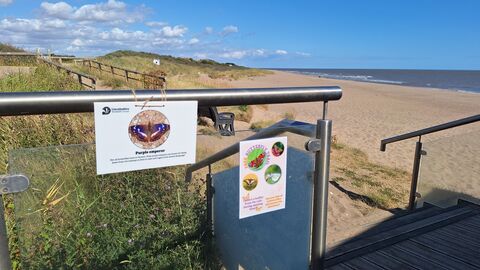 Butterfly trail starting from North Sea Observatory 