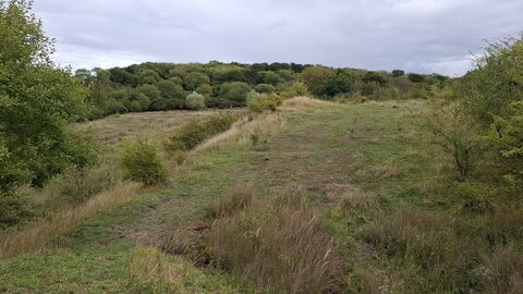 View of the grassy areas of Stanton's Pit taken in 2026