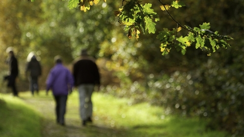 Couple walking down path through woodland, The National Forest, UK