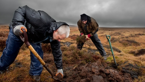 RSPB volunteers carrying out conservation work on moorland