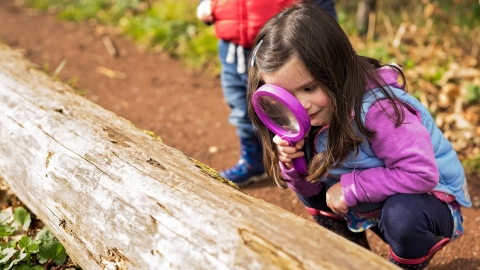 Child investigating log