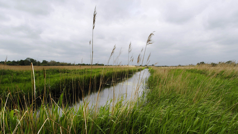 Great Fen Project