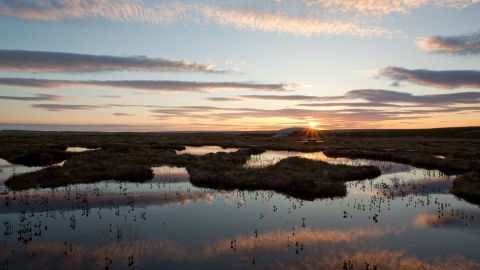 Dawn sky over peatbog landscape