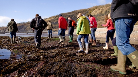 Guided coastal walk