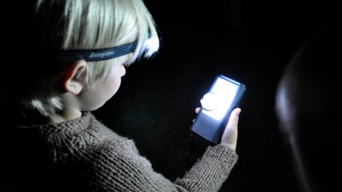 Bat detecting