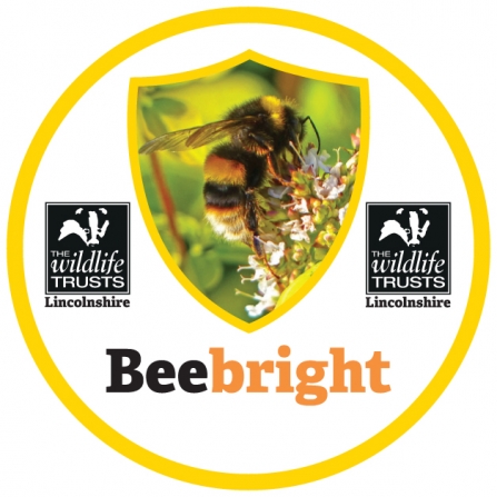 Beebright