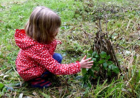 Wildlife Watch Muckton Wood