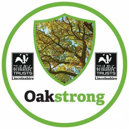 Oakstrong