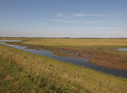 Frampton Marsh