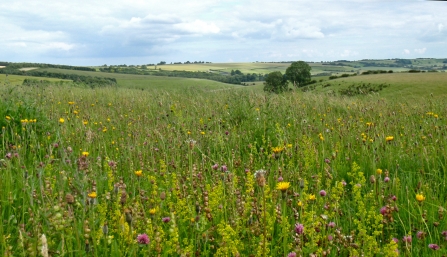 Red Hill Lincolnshire